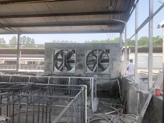 河北畜牧业通风降温工程安装方案